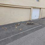 Appartement, cave et parking avenue du Général de Gaulle à Grasse